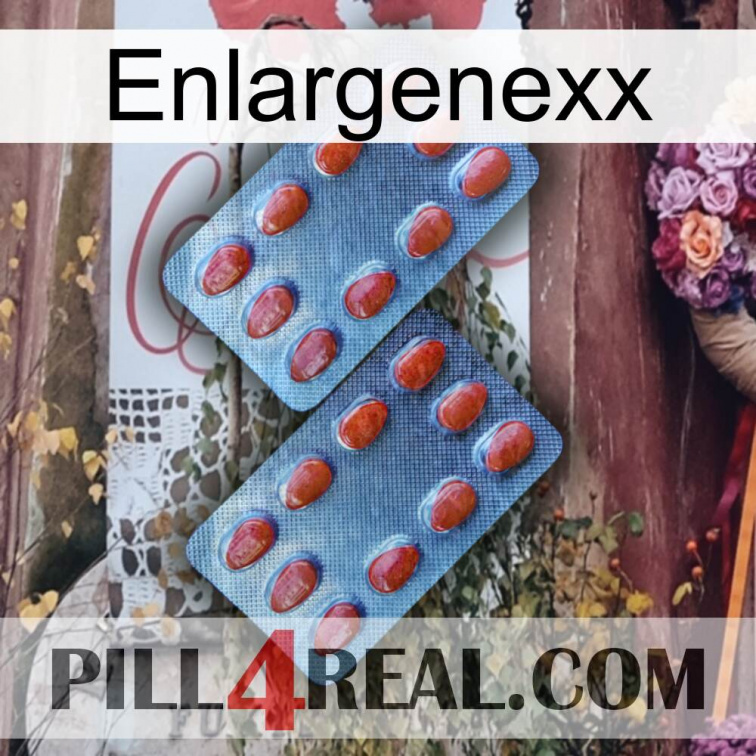 Enlargenexx 05